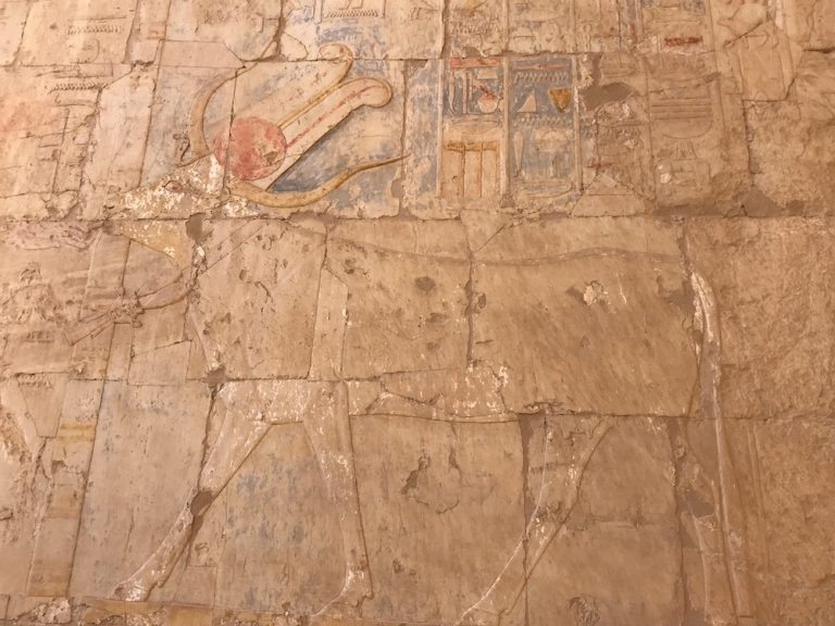 La diosa Hathor representada como una vaca en una pared del templo funerario de Hatshepsut 